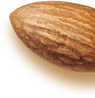 Almond Single Right